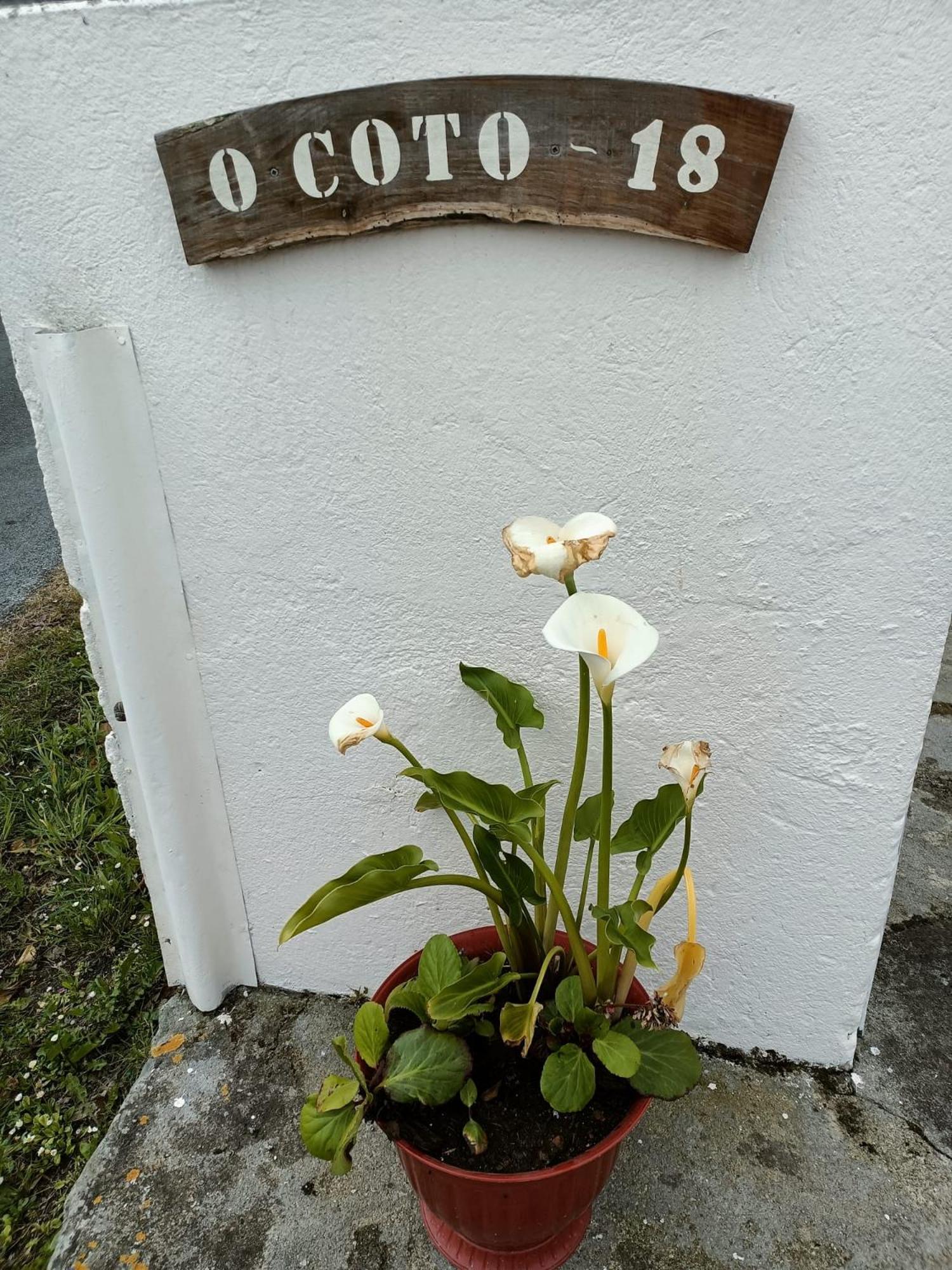 Villa Casa Pancha Ribadeo Exterior foto